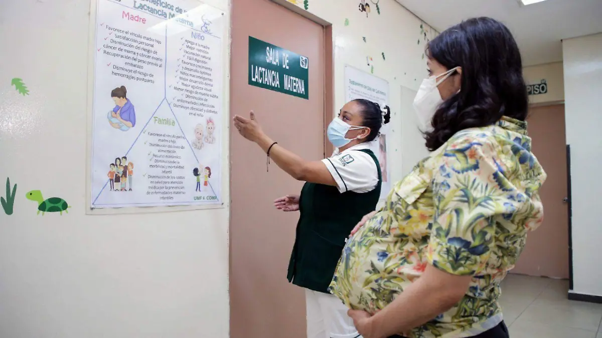828923_Lactancia Materna IMSS_web