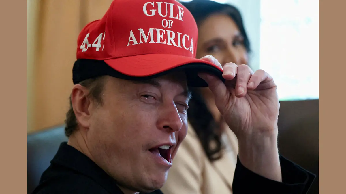 Elon Musk - Tesla