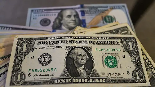 1014830_Aspectos billetes dólar_web
