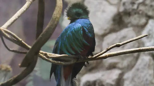 450932_Parque Xcaret_web