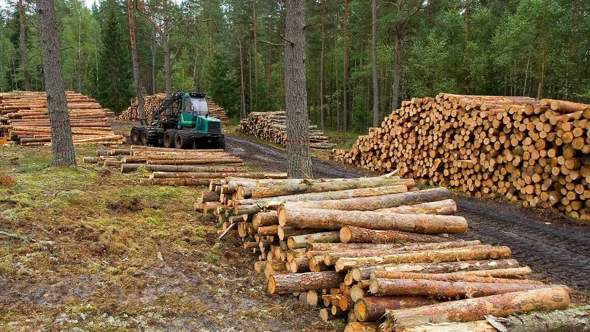 Zonas deforestadas