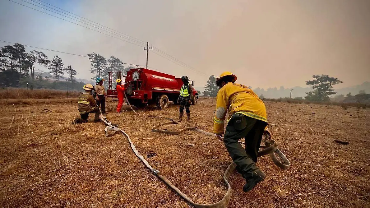 Incendios en bosques