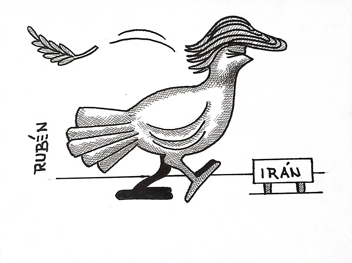 cartón Rubén CAMUFLAJE