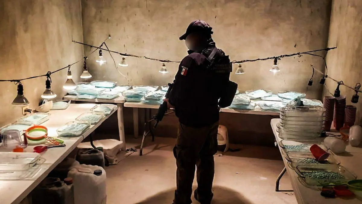 949790_Narco laboratorio en Tijuana_web
