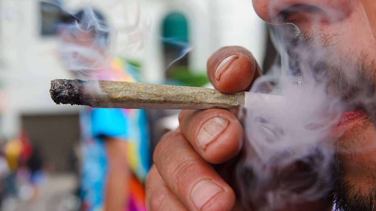 SCJN DA LUZ VERDE A MARIGUANA COMPARTIDA