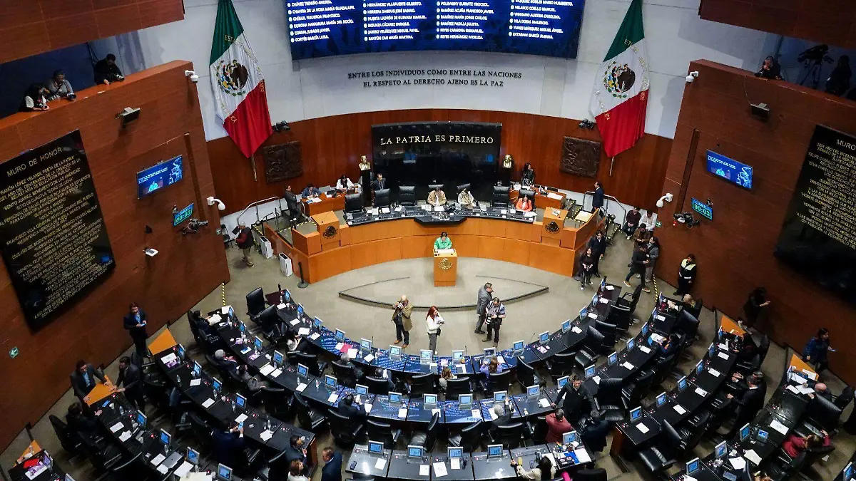 1037603_Sesión Senado Trámites Burocráticos_web