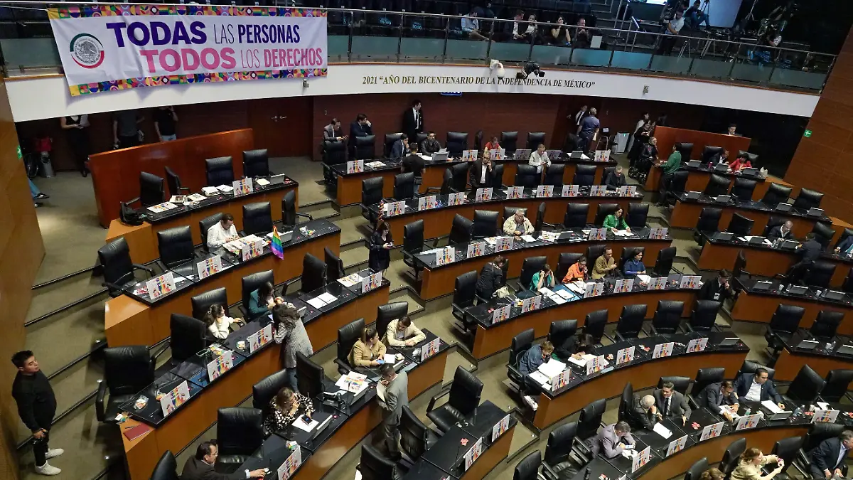 1038069_Sesión extraordinaria Senado_impreso