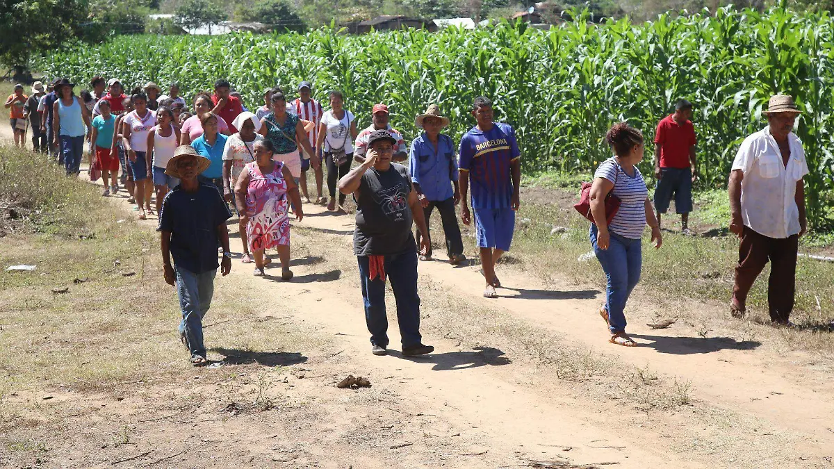 742383_Amenazas Despojo Indigenas_web