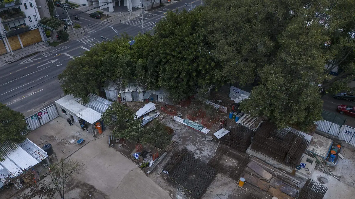 Colonia Acacias Tala de Arboles Construccion de Fresko