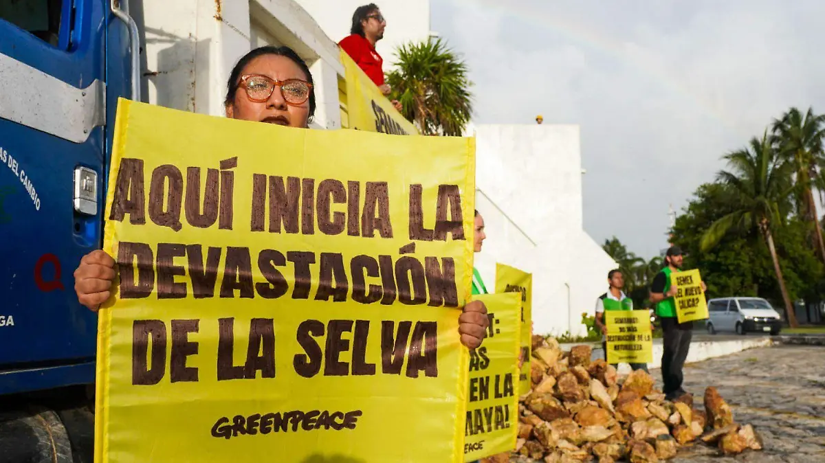 1039026_Greenpeace vs Desvatación de la Selva_web