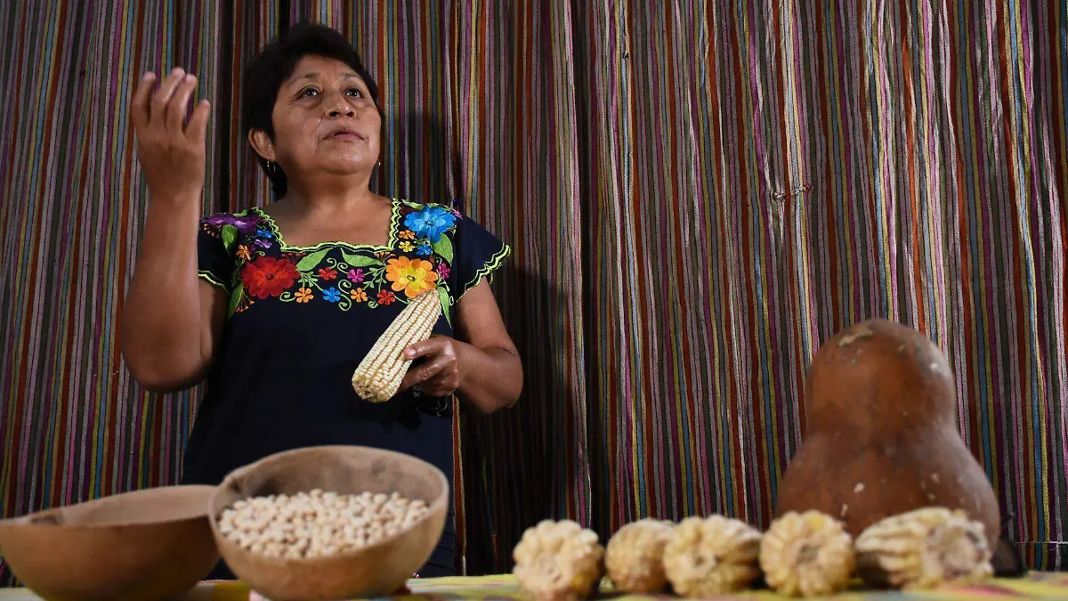 788868_Leydy Araceli Pech Martín_web