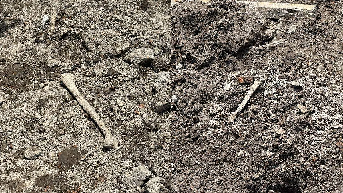 Hallan restos oseos en contrucción en la colonia Guerrero