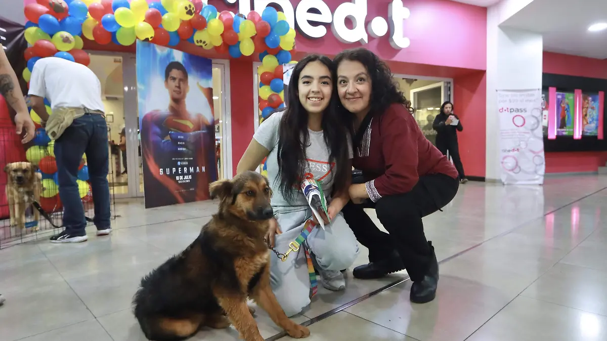 Adopción Cinedot 2