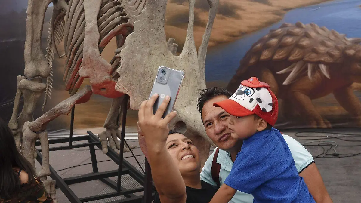 1029631_Exposición Dinosaurios Zócalito Infancias_web