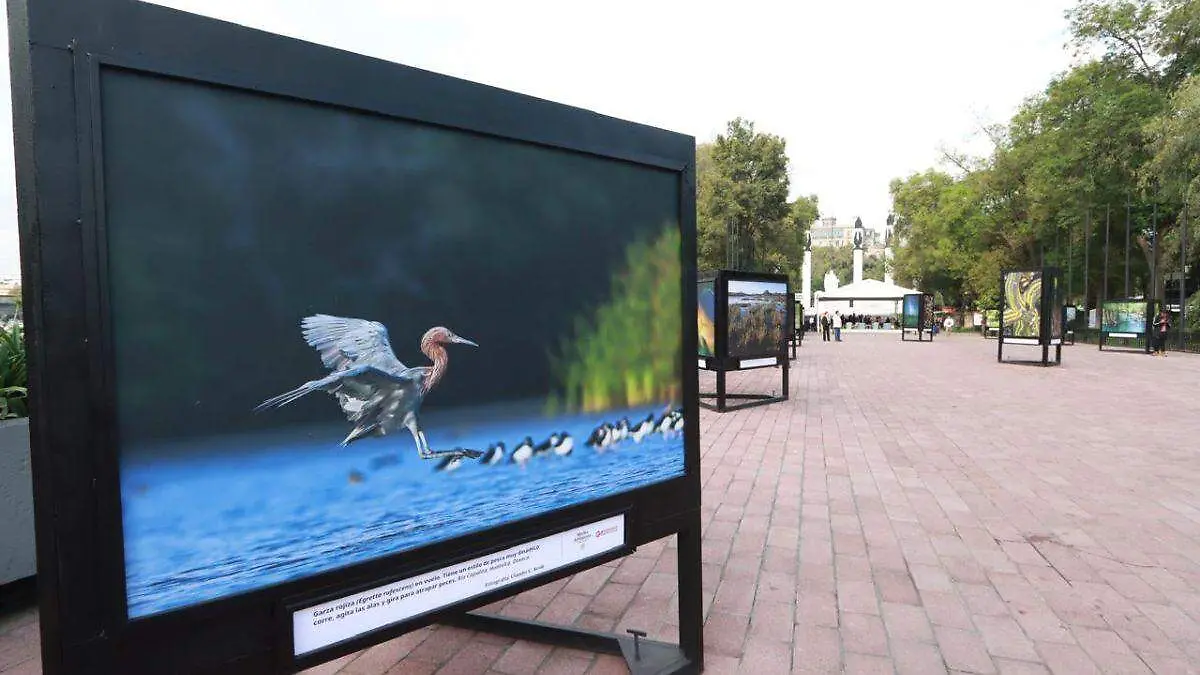 Semarnat_exposicion