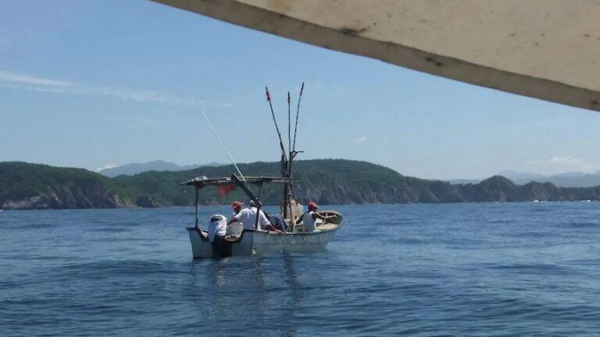 Costas de Jalisco (Mongabay Latam)