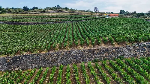 1035731_Terrazas Agrícolas_web
