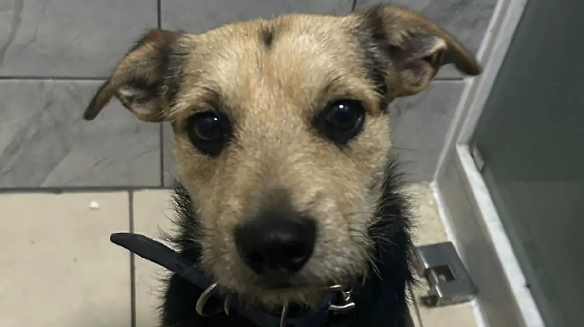 Apoya de Dejando Huella AC con un café