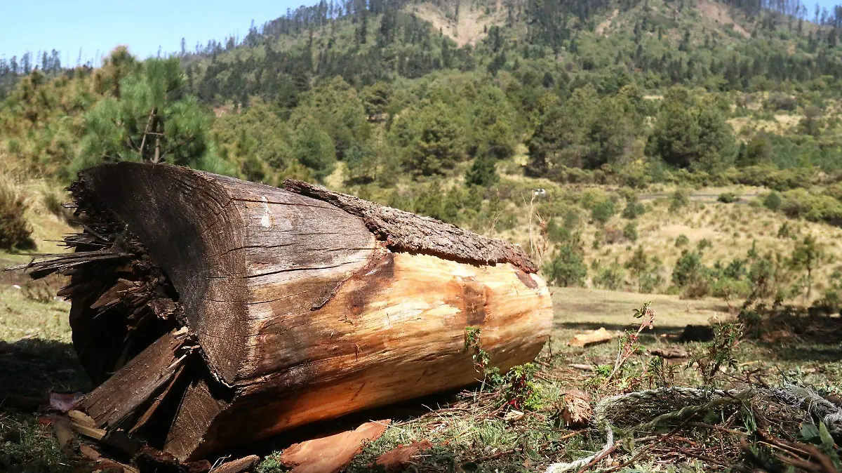 972886_Protesta Bosque Agua Ocuilan_web