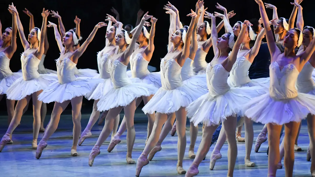 1019061_Lago Cisnes Bellas Artes_impreso