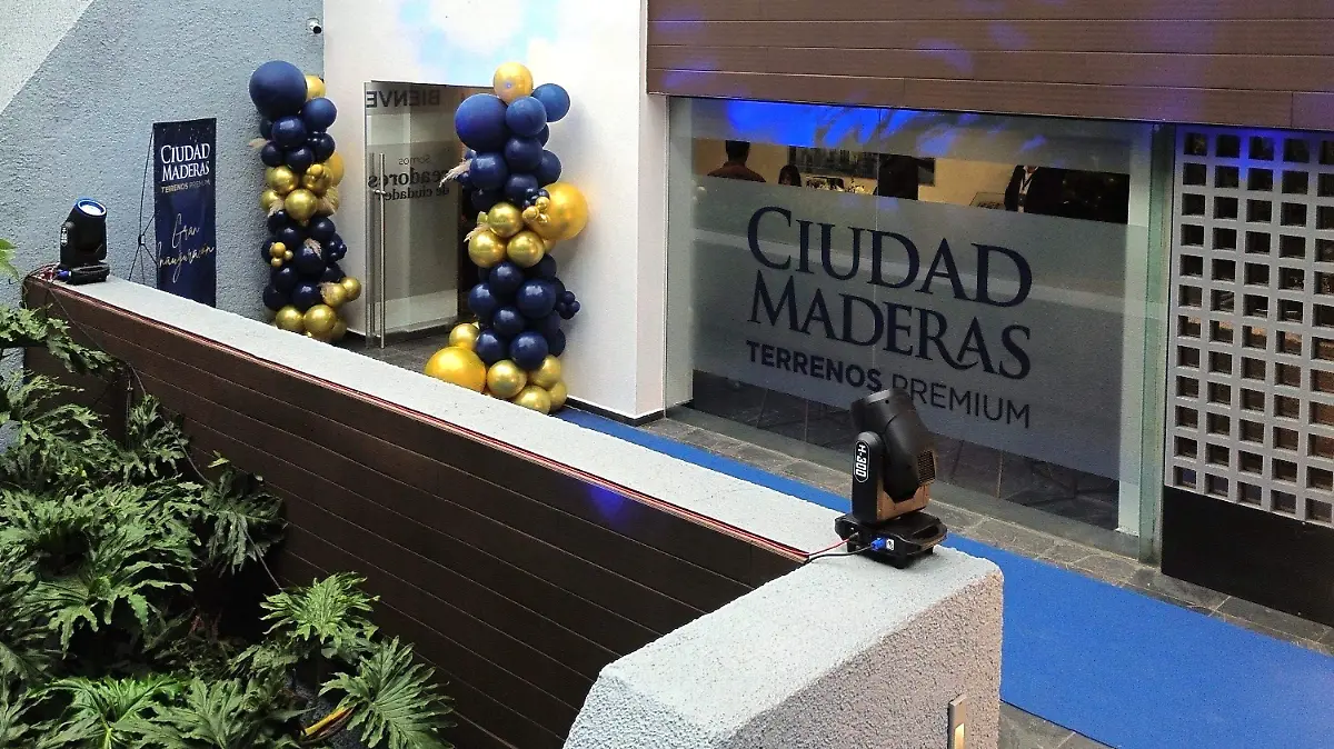 Nuevas oficinas de Ciudad Maderas, Coyoacán 2