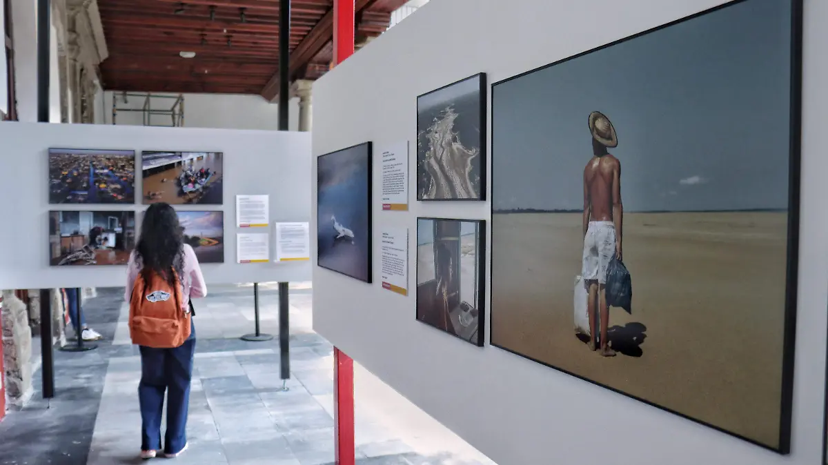 World Press Photo exposicion Museo Franz Mayer