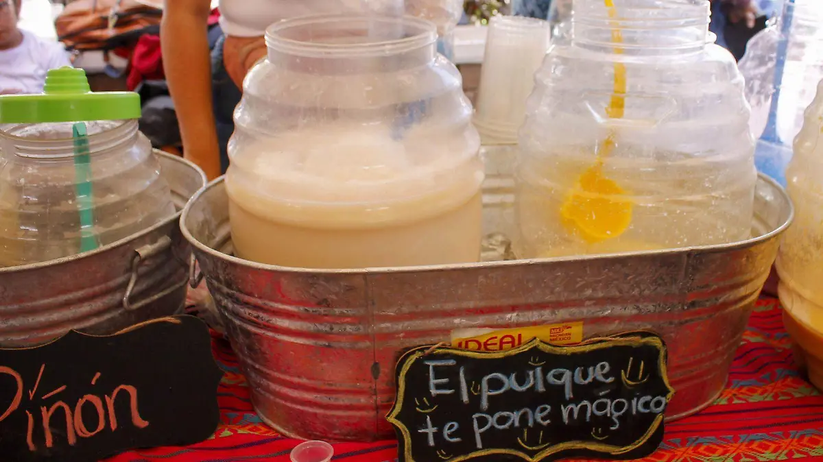 1018433_Mexquitic Feria del Pulque_web
