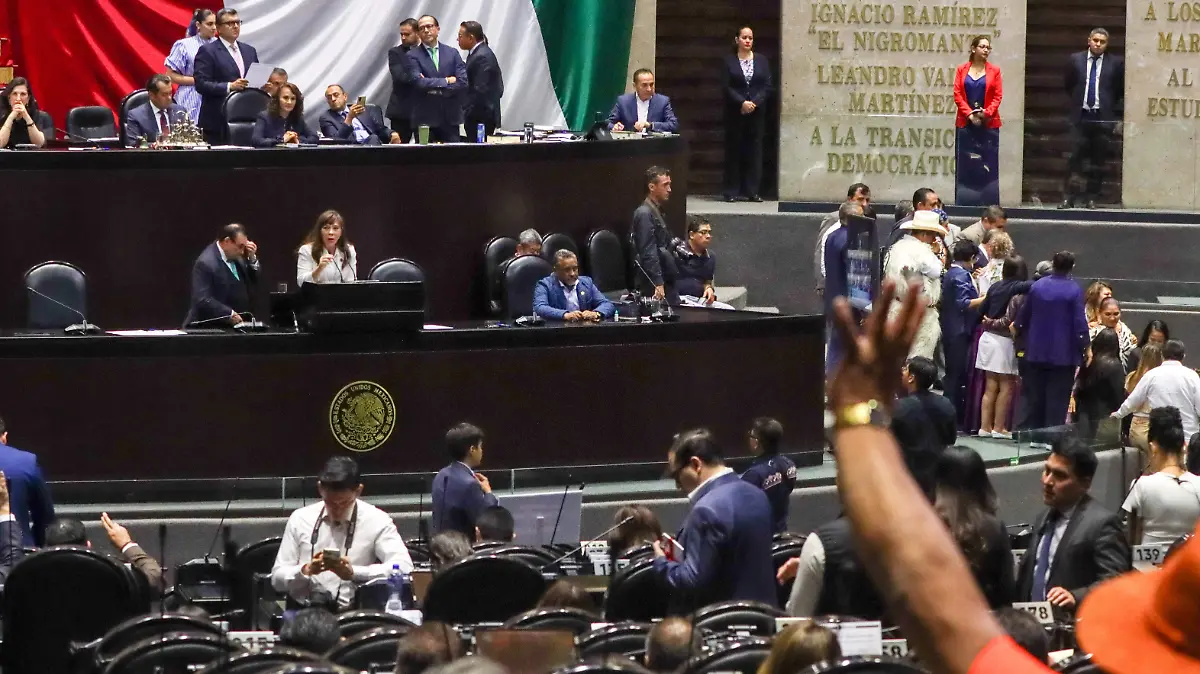 SESION-ORDINARIA-CÁMARA-DE-DIPUTADOS-romina solis -48