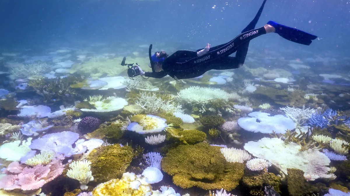 AFP__20250805__68QQ2NR__v1__HighRes__FilesAustraliaEnvironmentClimateReef