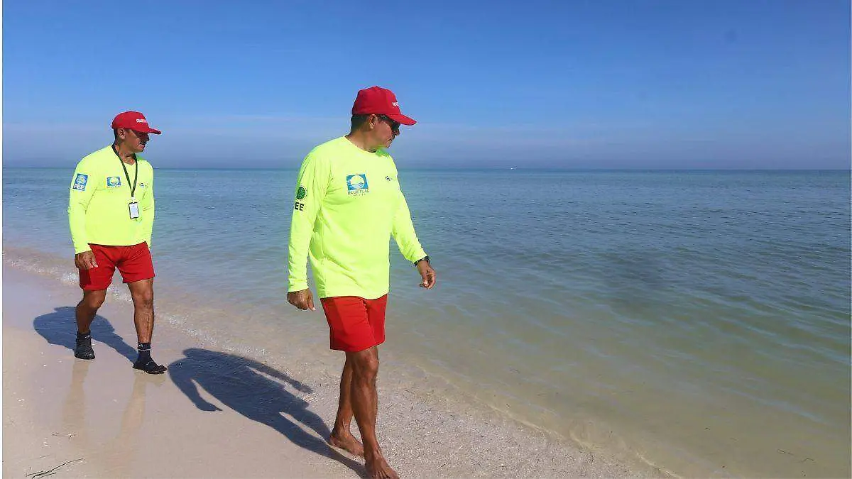 marea roja yucatan