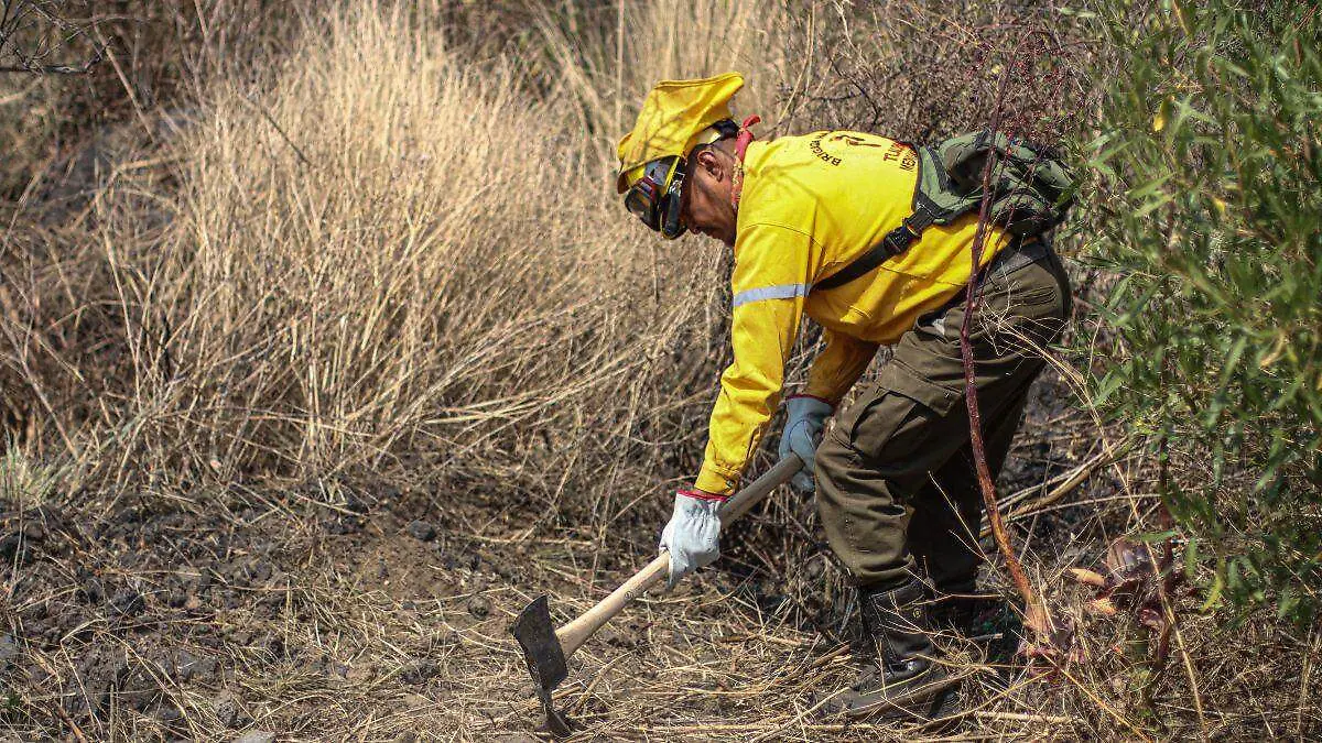 Brigadista-Incendios forestales