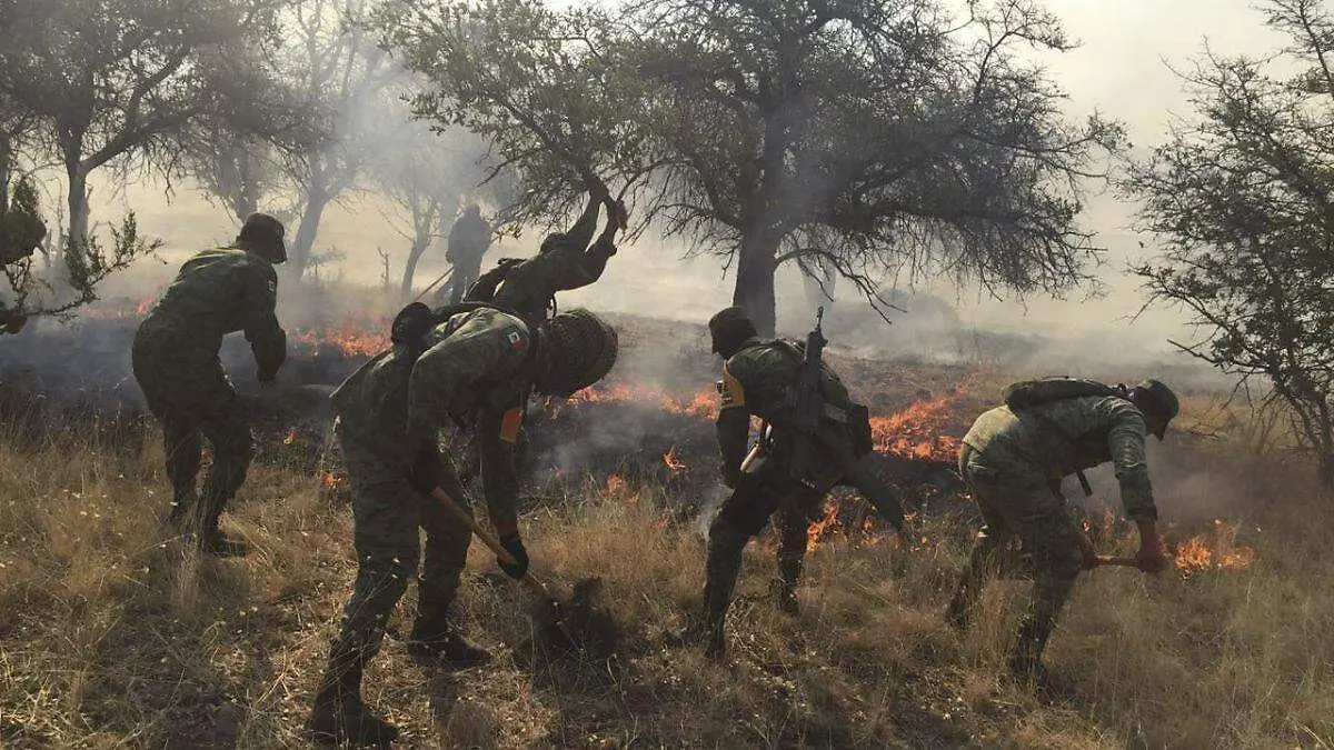 Incendios forestales-Chihuahua-Militares
