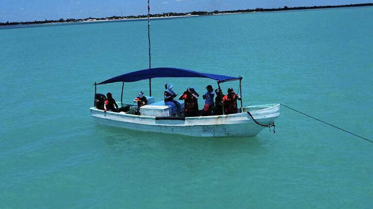 Las mujeres se han convertido en la cara visible de la protección de los recursos marinos Foto- cortesía Patricio Medrano