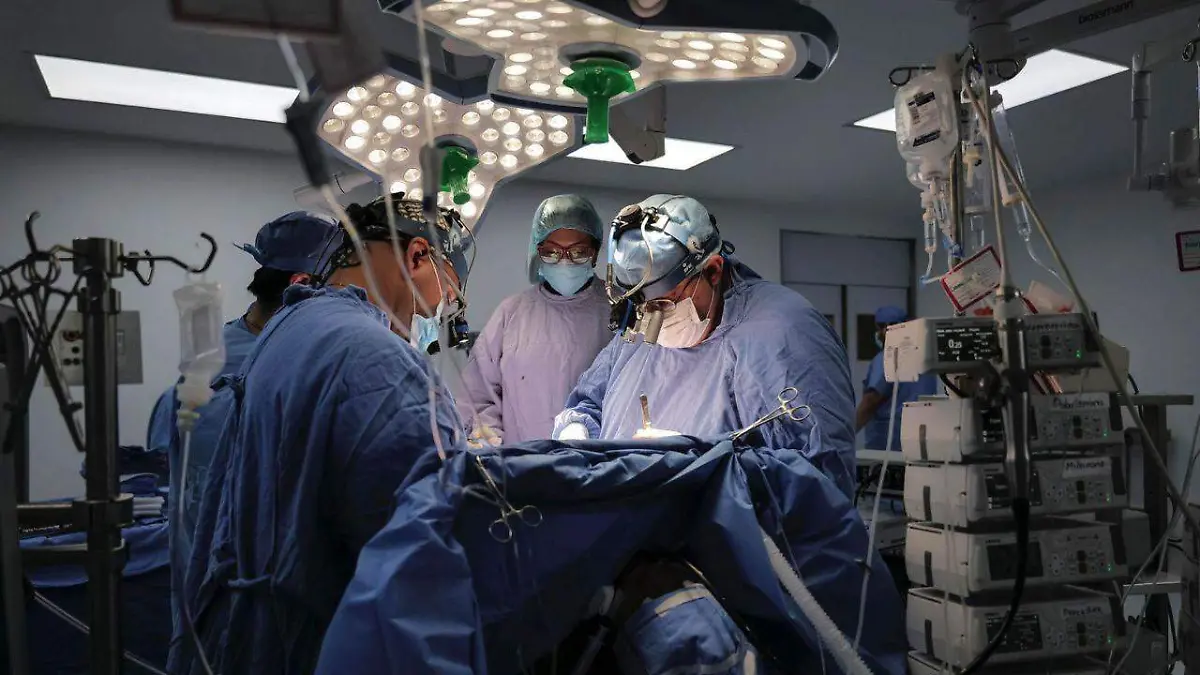 Diseño sin título