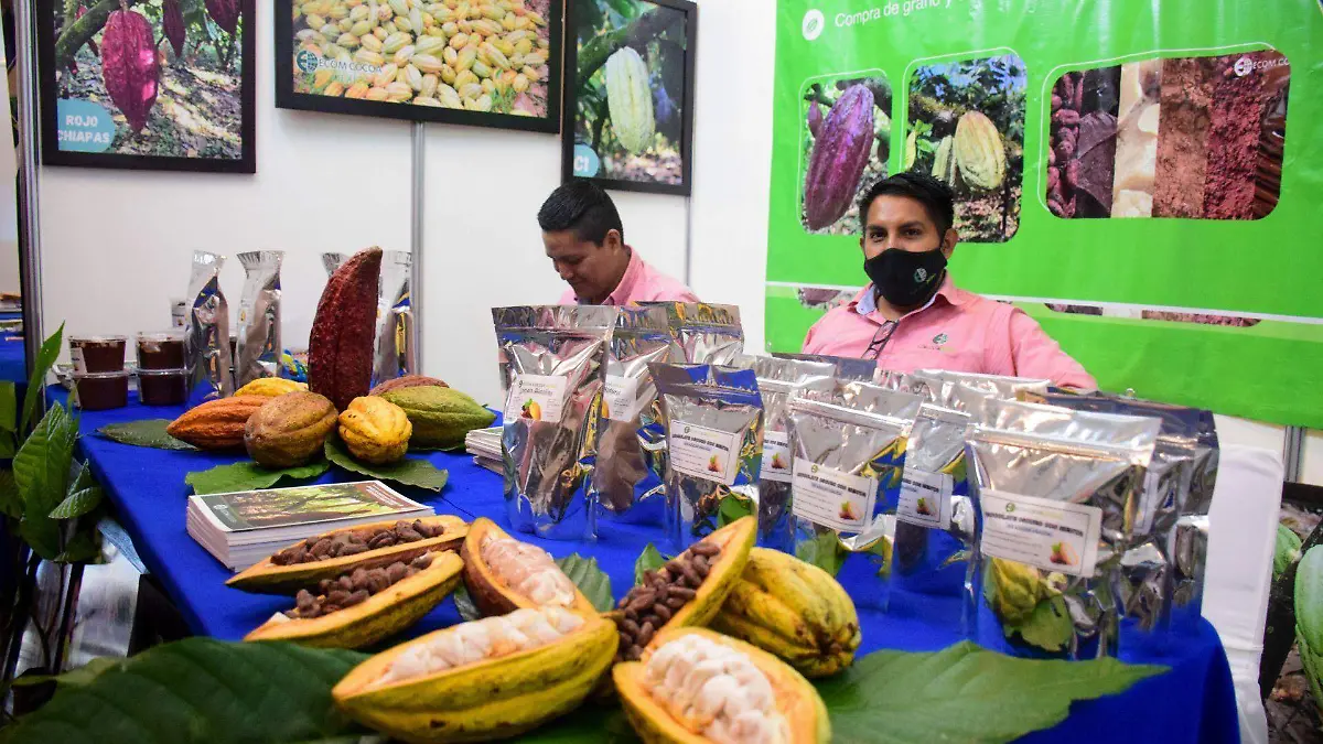 Festival Cacao para todos 2025 ya tiene lugar y fecha 