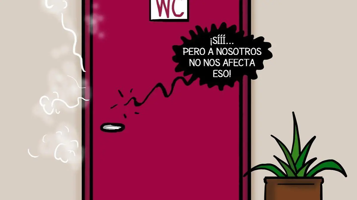 cartón OSVALDO b