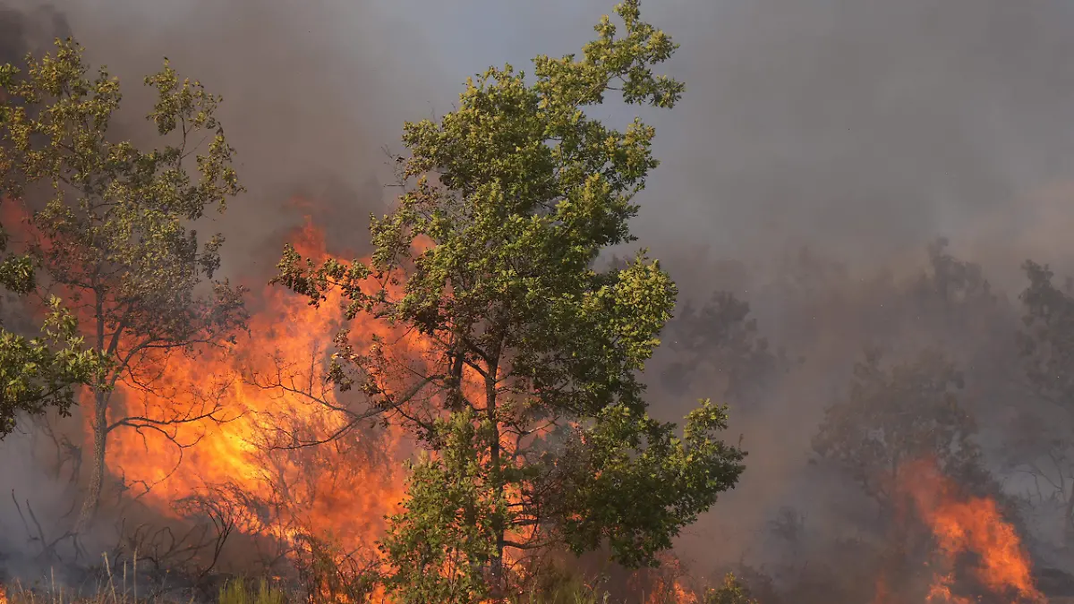 AFP__20250825__72F64Y8__v1__HighRes__SpainWildfireWeatherClimate