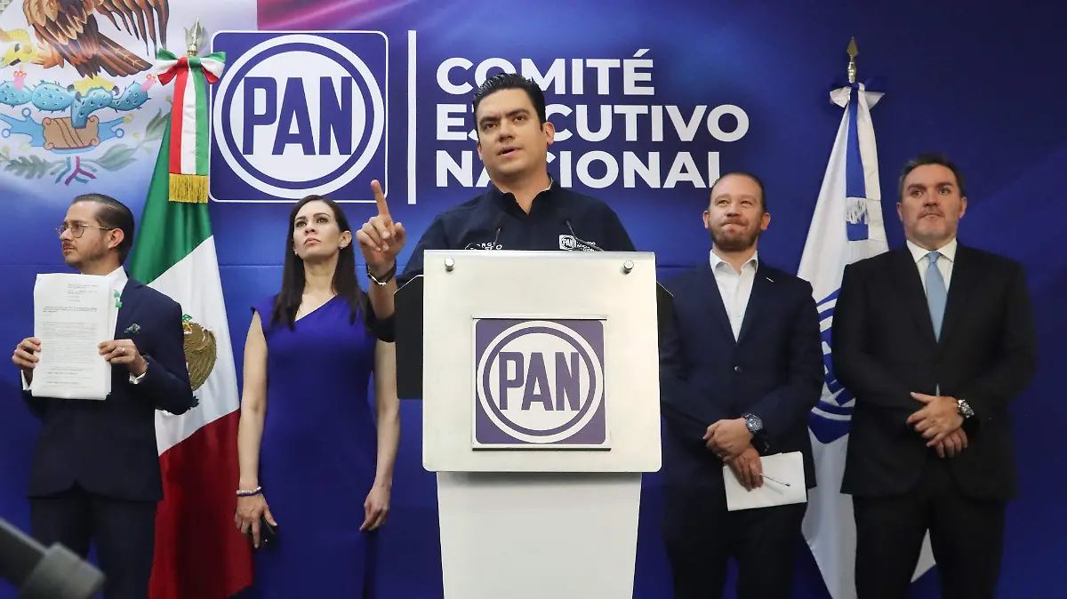 6133517-Presenta un amparo colectivo  el Comité Ejecutivo Nacional del PAN-01