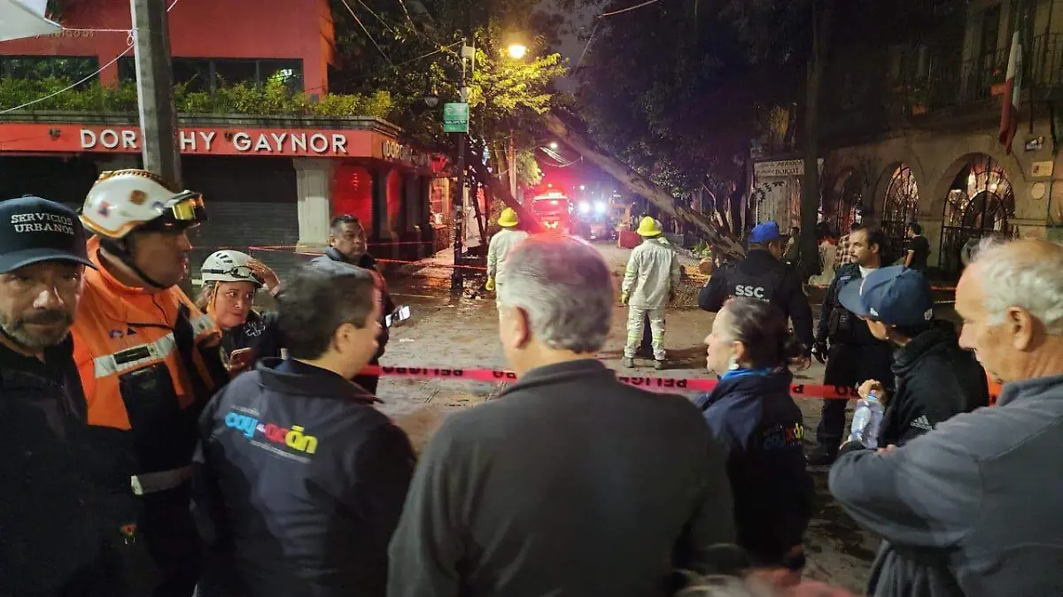 Árbol caído en el centro de Coyoacán