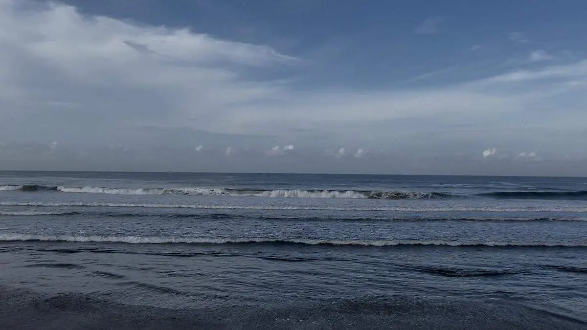 Desde el Giro 1. Daniella Camarena.jpg