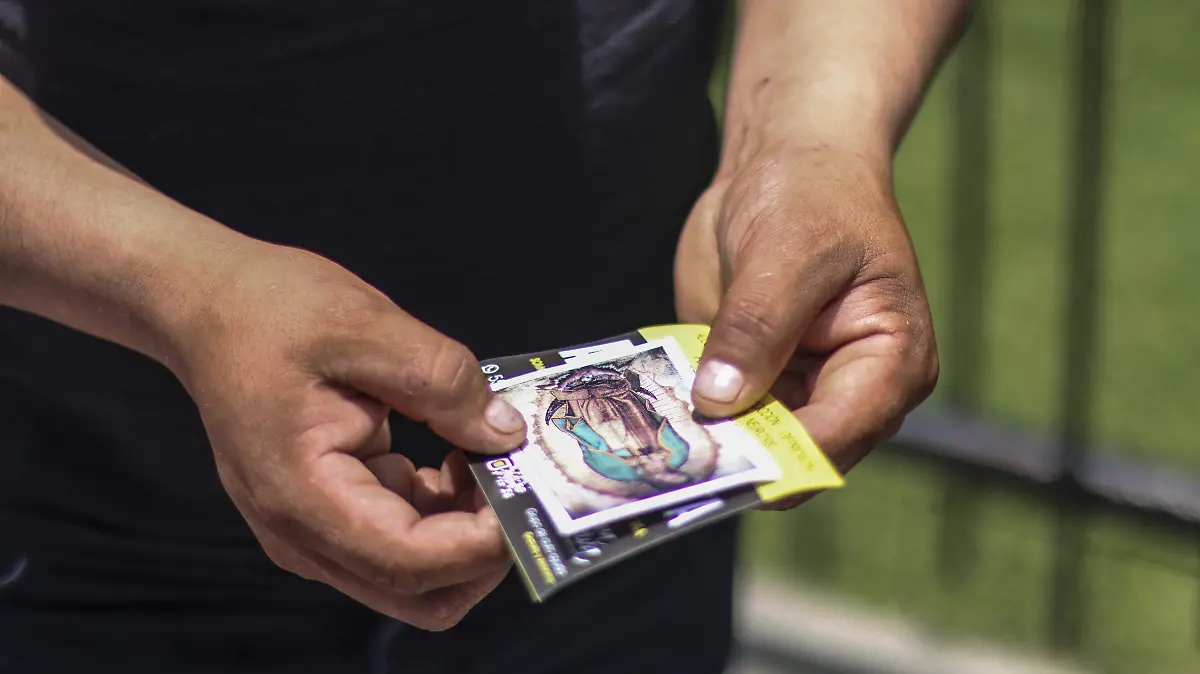 Imagen de la virgen de guadalupe