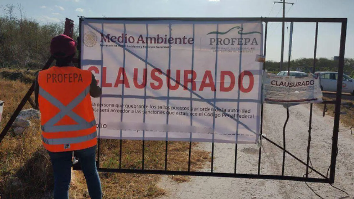 Profepa clausura la granja porcícola