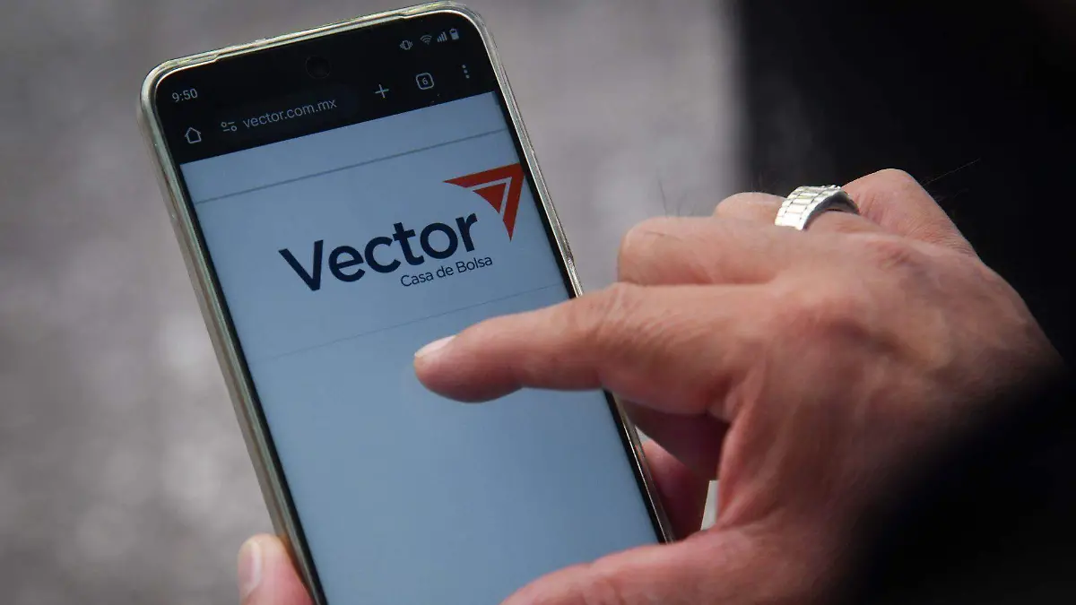 1038445_Aspecto Vector_web