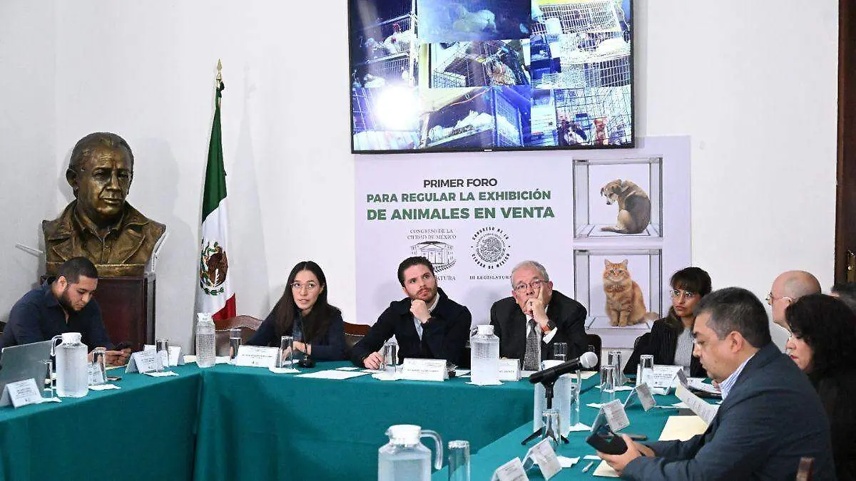 Foro bien estar animal