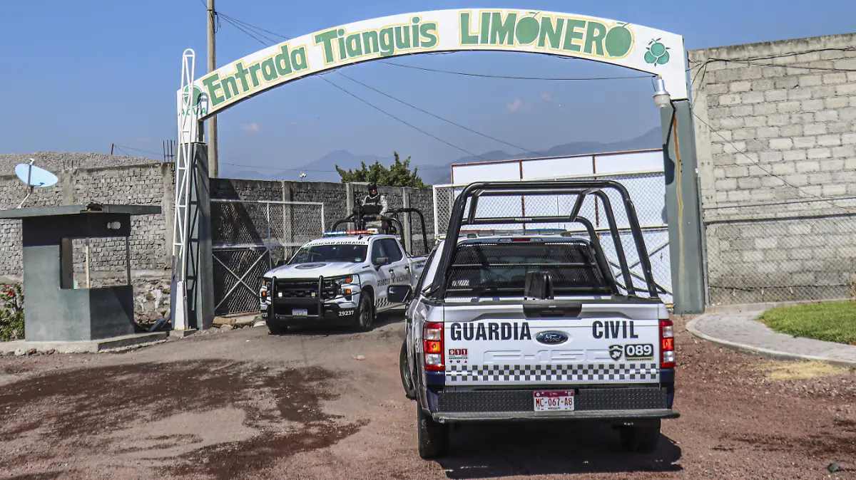 4793766-Limoneros-Productores de limon-Ejercito-Operativos-Extorsion-89
