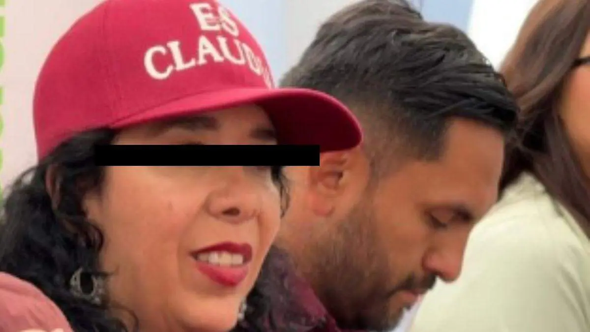 diputada ok 