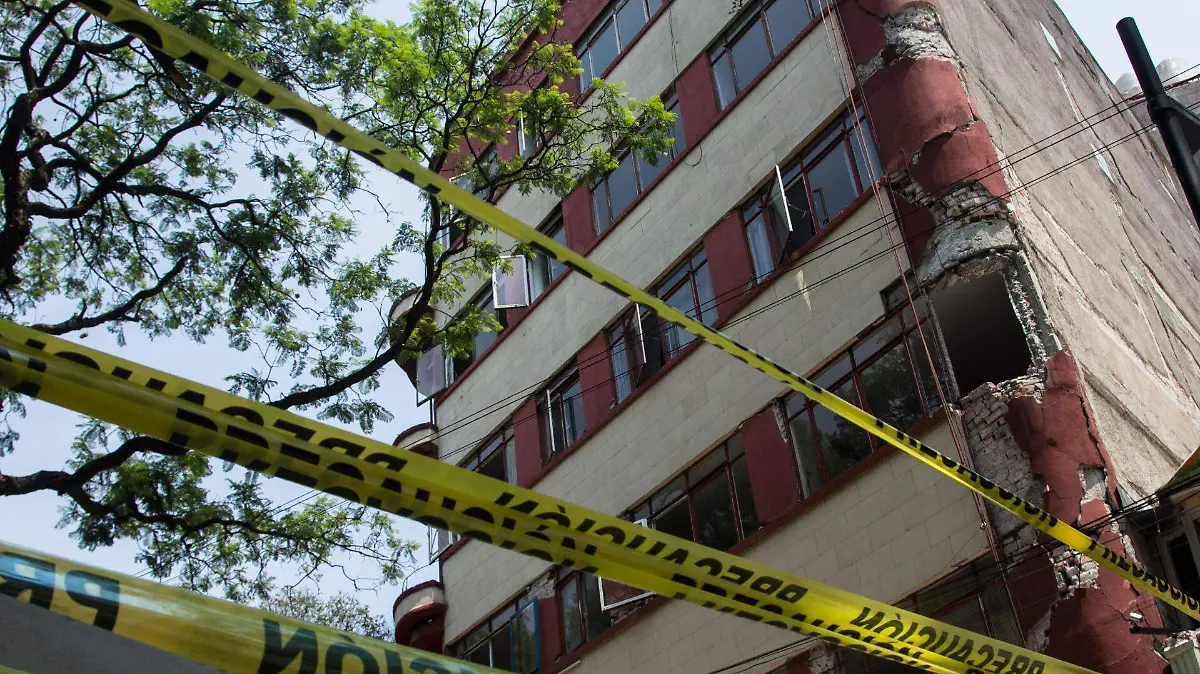 656728_Cotidiana Condesa_web