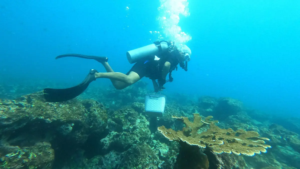 02 INT GRANDE_Cortesía Oceanus A.C