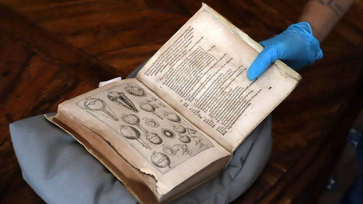 Diseño sin título (2)