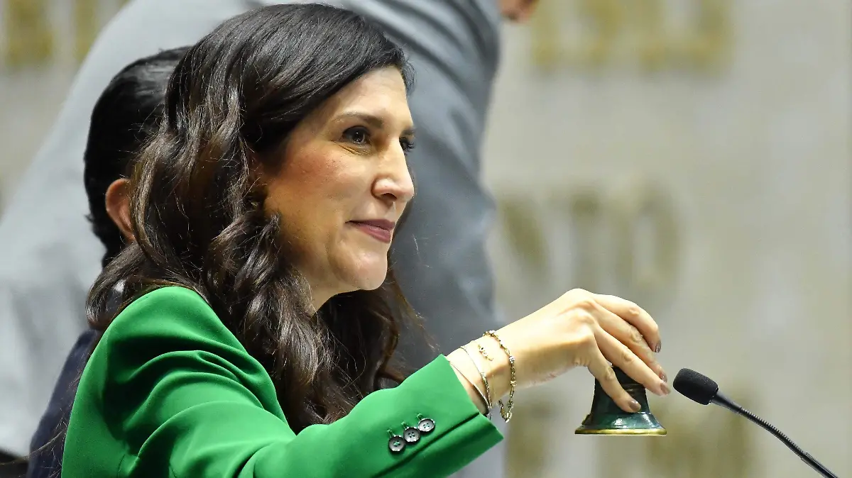 1048951_Sesión Cámara de Diputados_impreso
